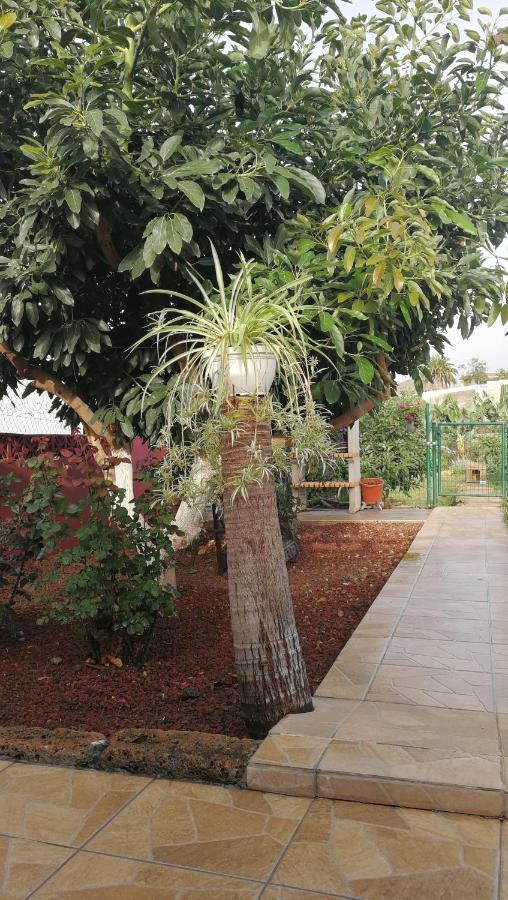 Lugares Comunes Guest House Los Realejos Eksteriør bilde